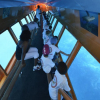Activité LES NAUTILUS
