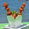 Activité BEACH GRILL