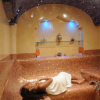 Activité SPA HAVRE DU BIEN ETRE