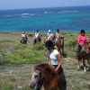 Activité CENTRE EQUESTRE MACABOU