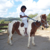 CENTRE EQUESTRE MACABOU