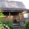 Activité TAINOS COTTAGE
