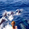 Activité DAUPHINS MARTINIQUE