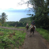 Aventures