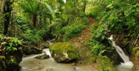 Quoi faire en Guadeloupe et en Martinique côté Terre ?