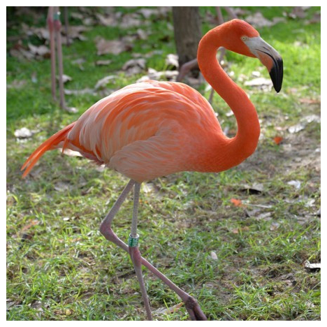 ZOO DE MARTINIQUE