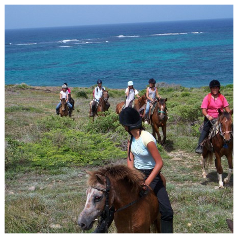 CENTRE EQUESTRE MACABOU