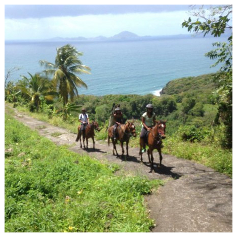 LES ECURIES DE LA COULISSE