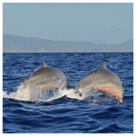 GUADELOUPE EVASION DECOUVERTE