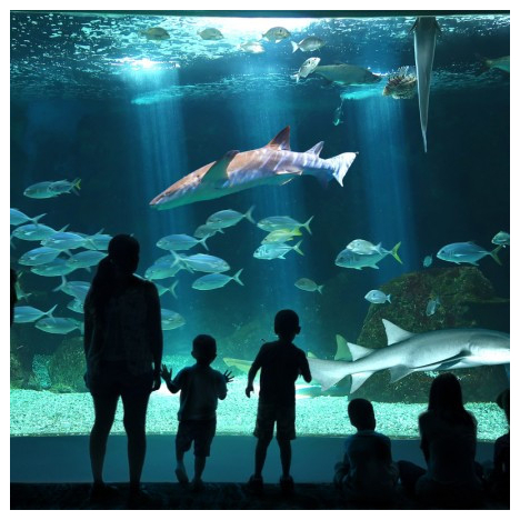 AQUARIUM DE LA GUADELOUPE